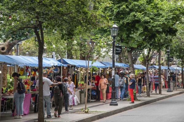 Continúa abierta la tradicional feria navideña de plaza Pringles