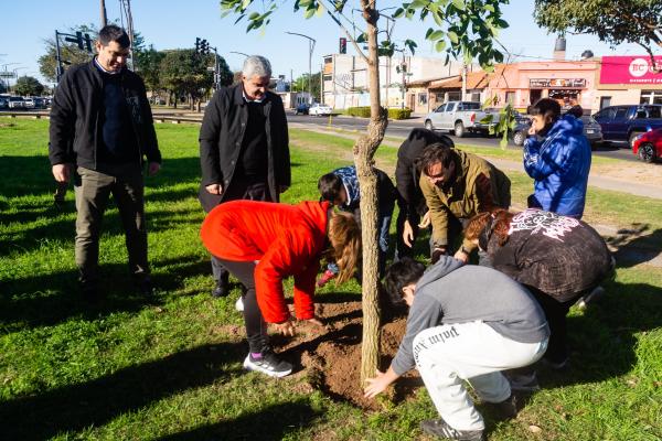La ciudad cuenta con 100 nuevos árboles nativos en un sector del distrito Norte