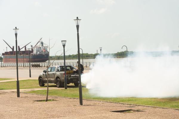 Fumigación: el municipio continúa con los operativos periódicos en parques, plazas y espacios verdes