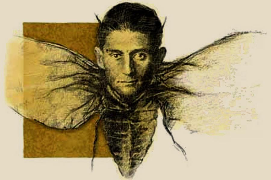 ilustración de un insecto con la cara de franz kafka