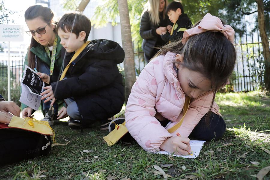 niñas y niños dibujando en la naturaleza