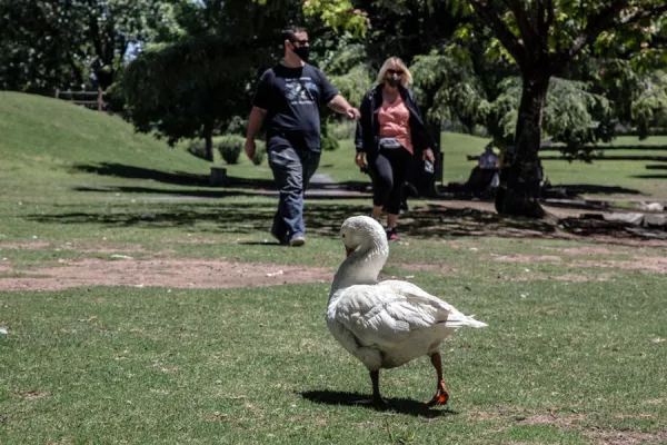 Granja de la Infancia